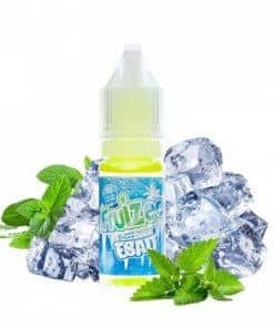 ICEE MINT ESALT FRUIZEE - E-LIQUID FRANCE