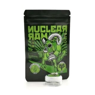 chernobyl-coils-nuclear-ram