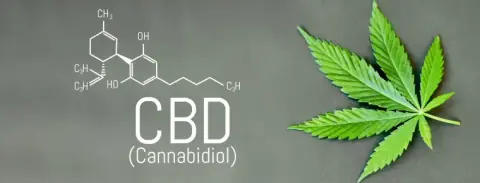 Ver productos CBD