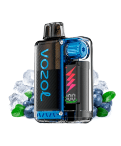 Vape desechable Arándano Ice - Vozol Vista Plug 2+10