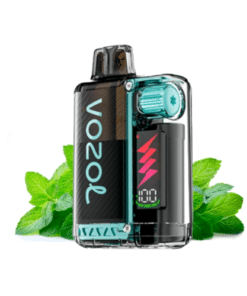 Vape desechable Menta Fresca - Vozol Vista Plug 2+10