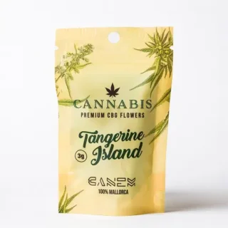 Flores CBG Tangerine Island Canem