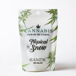 Flores CBG Tropical Snow Canem
